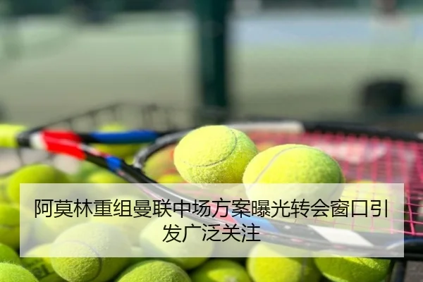 阿莫林重组曼联中场方案曝光转会窗口引发广泛关注